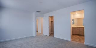 843 Watford Place Gallery 19