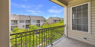 25807 TURLOUGH Terrace Gallery 47