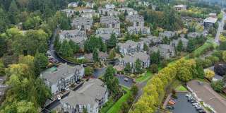 Summerlinn Gallery 49