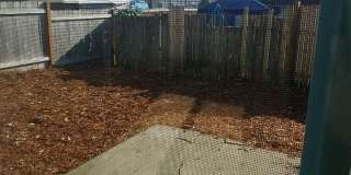 Freshly remodeled Townhouse Style Apartment with Private Yard Gallery 1