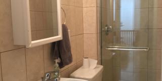 Huge, updated, sunny 5 bed in Coolidge Corner for 9/1! Gallery 14