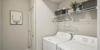 Mosby Poinsett Gallery 12