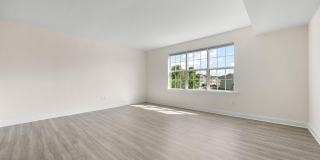 603 PONY Lane Gallery 4