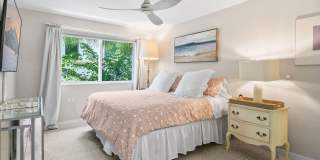 227 Brazilian Avenue Gallery 11