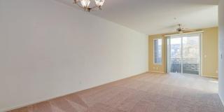 Regency Park Gallery 7