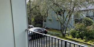 Roxclif Court Gallery 41