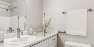 Park at Palmer Gallery 63