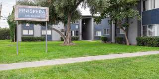 Prospera Village Gallery 32