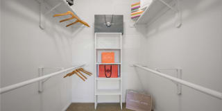 The Lanesborough Apartments Gallery 39