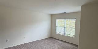 9137 Arbol del Rosal Way Gallery 17