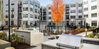 Avalon at Becker Farm Gallery 45