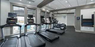 The Encore Gallery 18