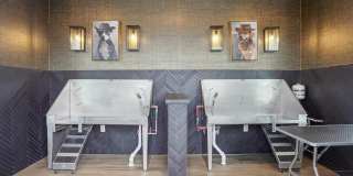 The Stead at Farmington Gallery 105