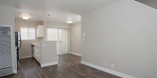 Pacific Vista Gallery 7