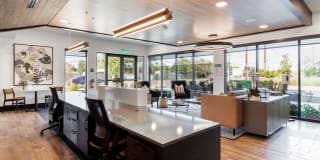 The Bank of Springdale Gallery 38