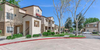 Avery at TownCentre Gallery 16