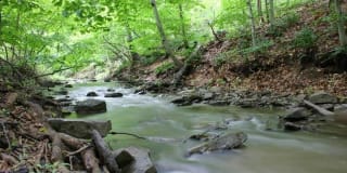 Creekside Apartments Gallery 5