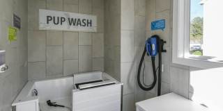 Henley at Mirror Lake Gallery 28