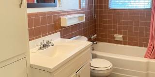 Charming South Austin Classic Gallery 8