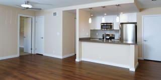 Avalon La Jolla Colony Gallery 6