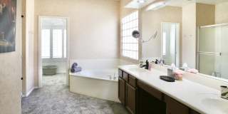 4683 S OLEANDER Drive Gallery 38