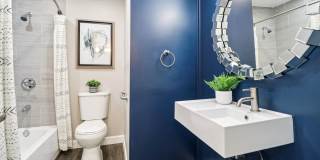 The Ashley Gallery 10