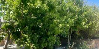 Spacious 3BR 3BA House in Bakersfield Gallery 39