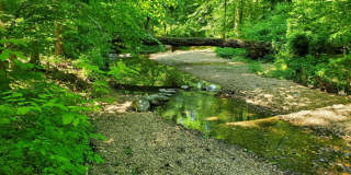 3152 Bayswater Ct Gallery 44