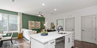 Axis at the Park Gallery 4