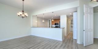 PET FRIENDLY UNFURNISHED ELEVATED PENTHOUSE LIVING WITH PRIVATE ELEVATOR Gallery 6