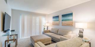 Imperial Palms Gallery 19