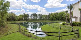 Horizon Wiregrass Ranch Gallery 5