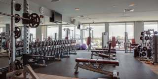 Beautiful Studio Condo In The Adelicia Gallery 21