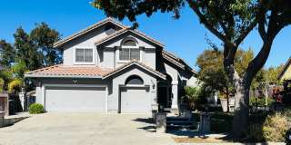 Beautiful Home! Gallery 1