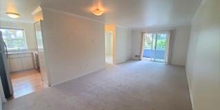 1bedroom in quiet residential setting.  W/D in unit Gallery 11