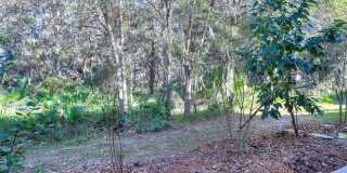 20119 WEEPING LAUREL PLACE Gallery 48