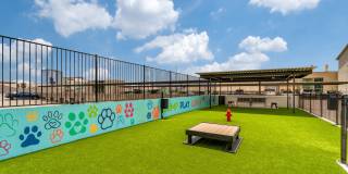 The Residences at the Domain Gallery 34