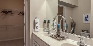 The Circle at Hermann Park Gallery 22