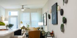 Alta Ivy Gallery 21
