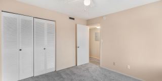 Cozy 2 Bed 1.5 Bathroom in Temple Terrace Gallery 7