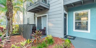 Cooper's Pond Gallery 9