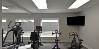 The Harrison/Marc Gallery 25