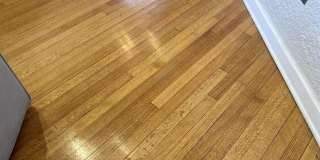 1104 MADELINE Drive Gallery 51