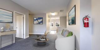 5985 COLUMBIA Pike unit: 300 Gallery 1