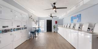 Lakes Edge Gallery 24