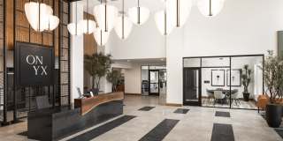 The Onyx Gallery 1