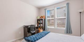 44504 WOLFHOUND Square Gallery 21