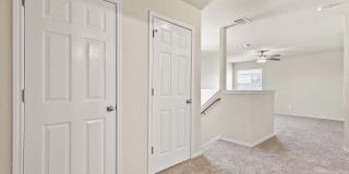 706 Scarlet Ibis Gallery 19