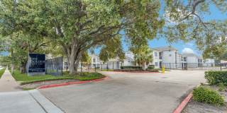 Fusion at Rye Gallery 19