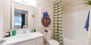 Crestone at Shadow Mountain Gallery 13